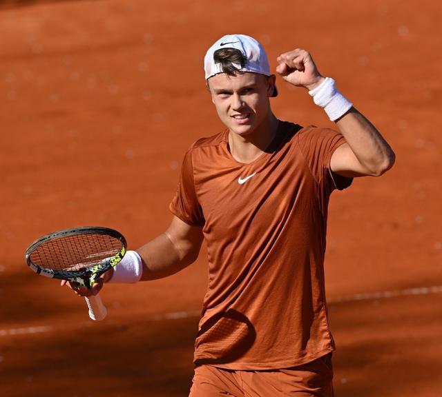 腱断裂画上 腱断裂画上