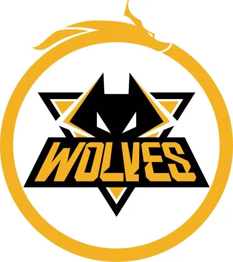 替代方案各 替代方案各